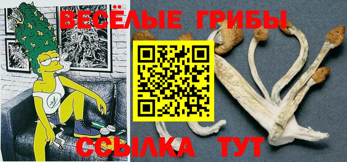 как найти закладки  Псилоцибиновые грибы мицелий  Вход с VPN  Десногорск 